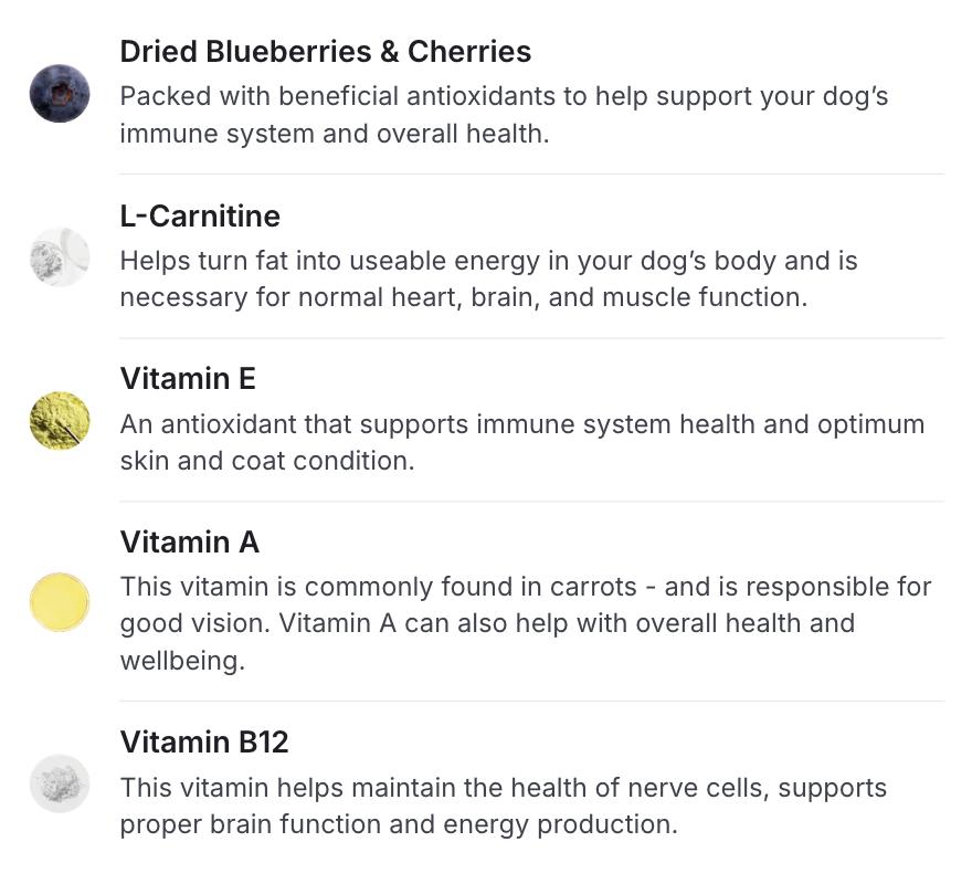 PetLab Co. Dog Multivitamin – daily multivitamin for dogs with 22 vitamins and minerals, designed to support overall health and vitality