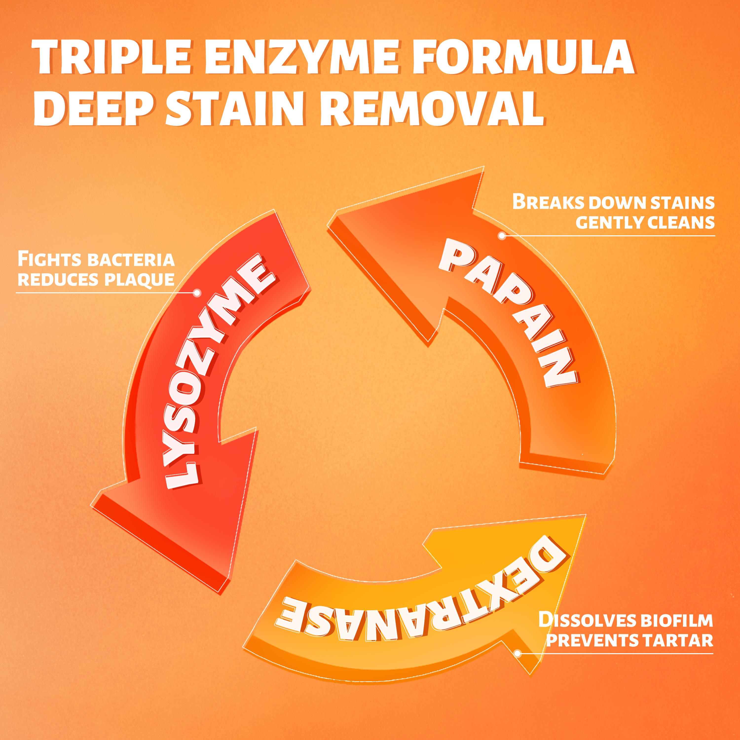 CEELIKE Lysozyme Toothpaste | Fresh Breath, Advanced Care Formula