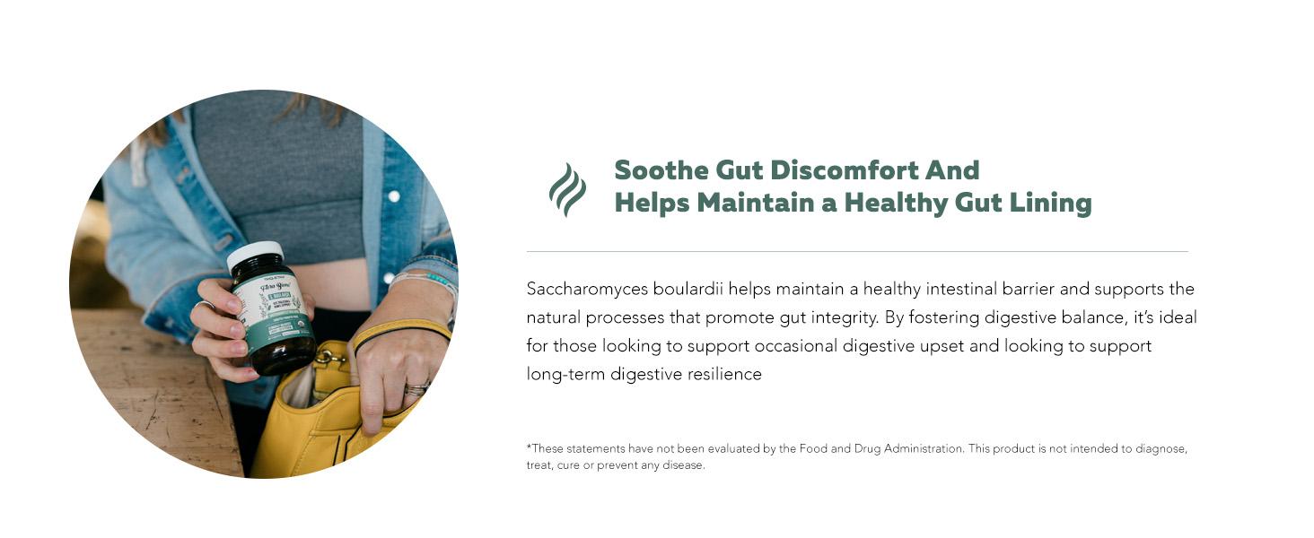 Organic Saccharomyces Boulardii | 10 Billion CFU – Clinically Validated CNCM I-1079 – Supports Gut & Digestive Health – 60 Count Healthcare Natural Organic Saccharomyces Boulardii | 10 Billion CFU – Clinically Validated CNCM I-1079 – Supports Gut & Digestive Health – 60 Count Healthcare Natural