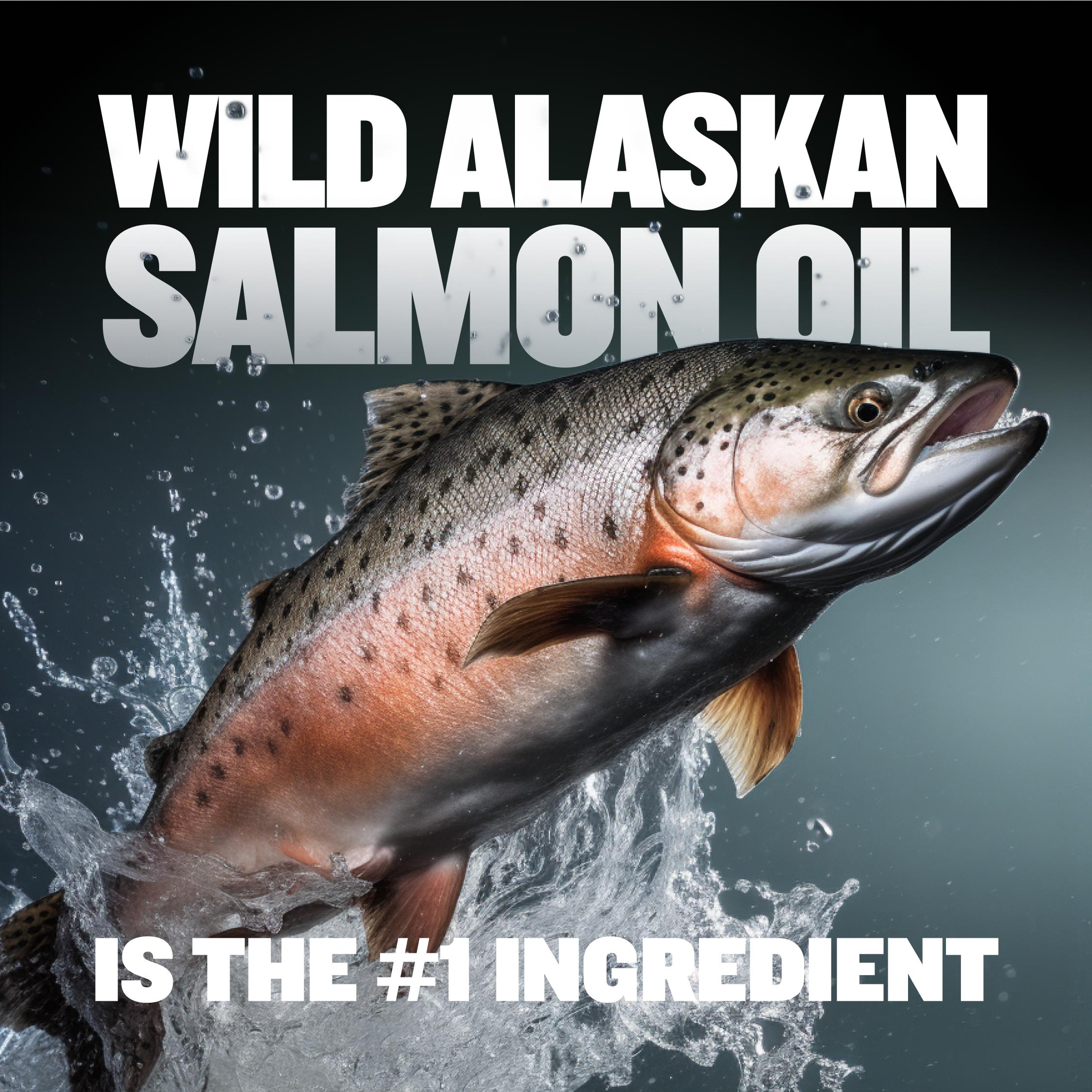 Bully Max Weight Gainer Liquid for Puppies & Adult Dogs | 2-in-1 High Calorie Multivitamin Dog Supplement - 16 oz Bag Bully Max Weight Gainer Liquid for Puppies & Adult Dogs | 2-in-1 High Calorie Multivitamin Dog Supplement - 16 oz Bag