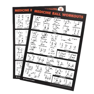 Medicine Ball Workout Training Poster Set – Exercise Wall Charts for Home & Gym Fitness (New)