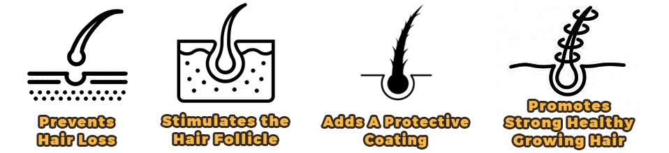 Elevate 5% Minoxidil Hair Growth Spray - Extra Strength Professional Treatment Hair Loss & Hair Regrowth Stimulate Follicles for Men & Women Haircare Elevate 5% Minoxidil Hair Growth Spray - Extra Strength Professional Treatment Hair Loss & Hair Regrowth Stimulate Follicles for Men & Women Haircare