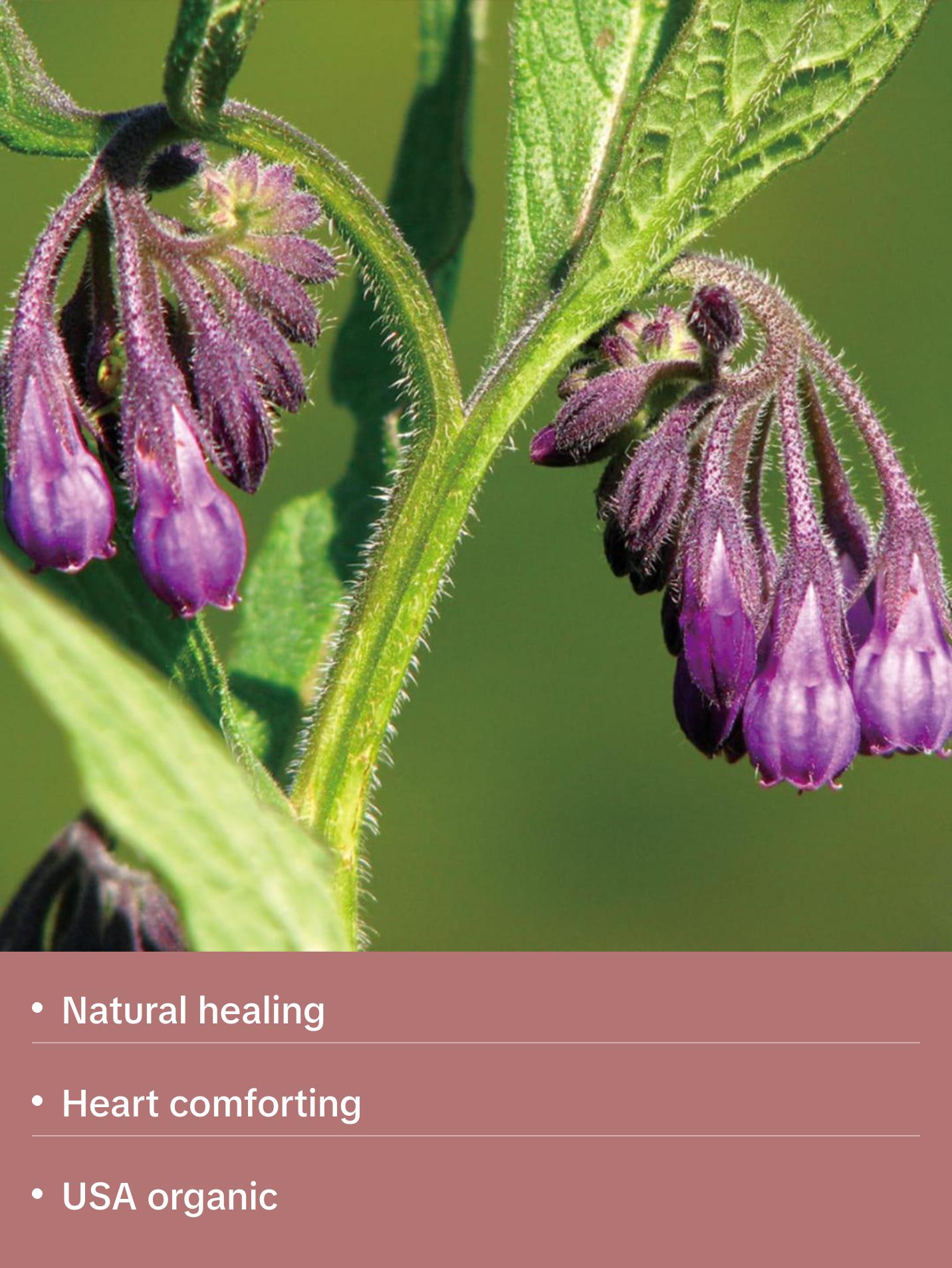 Comfrey Hydrosol Organic Skincare for Aromatherapy and Wellness