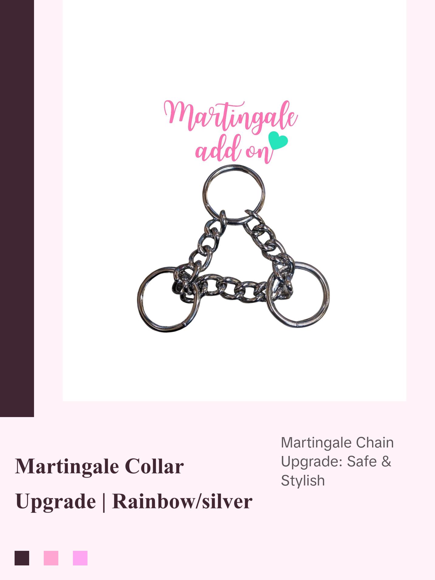 Martingale Collar Upgrade | Half Check Chain | Add on Only | Rainbow or Silver | Leash Training & Obedience | For Medium to Large Dogs Martingale Collar Upgrade | Half Check Chain | Add on Only | Rainbow or Silver | Leash Training & Obedience | For Medium to Large Dogs