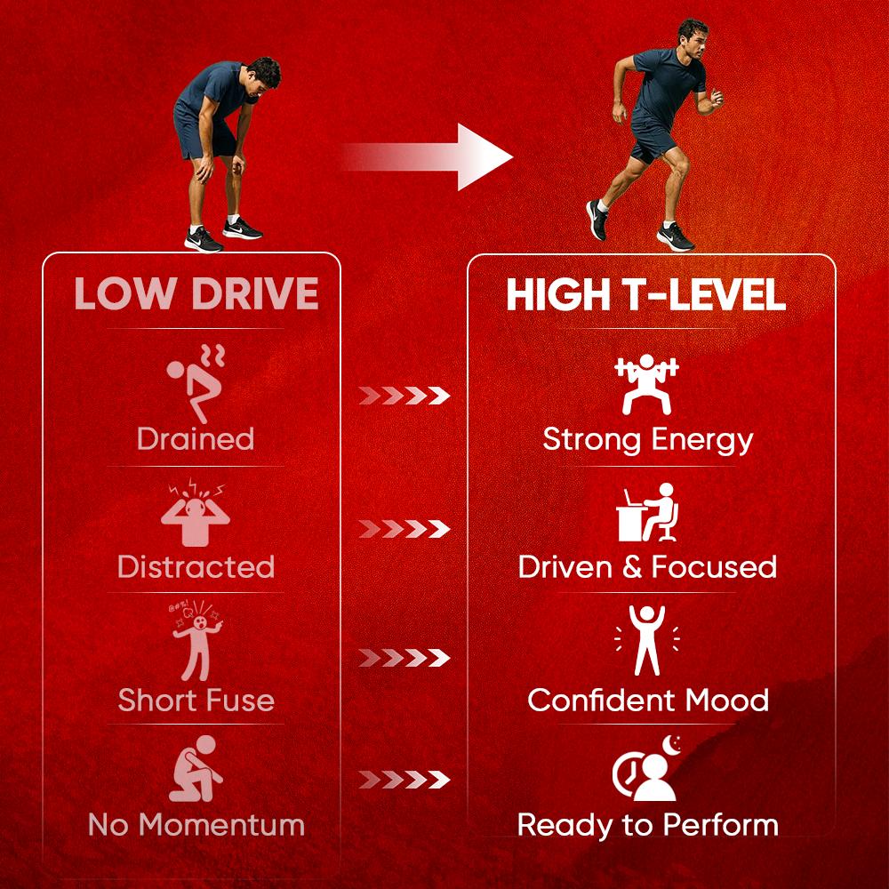 DrBioCare T-LEVEL Power Support – Men’s Energy, Strength & Performance Formula | Stamina Complex