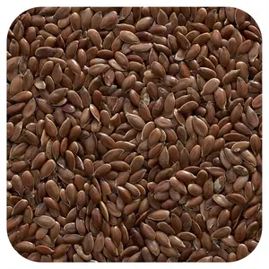 Frontier Co-op Organic Whole Flax Seed, 16 oz (453 g)