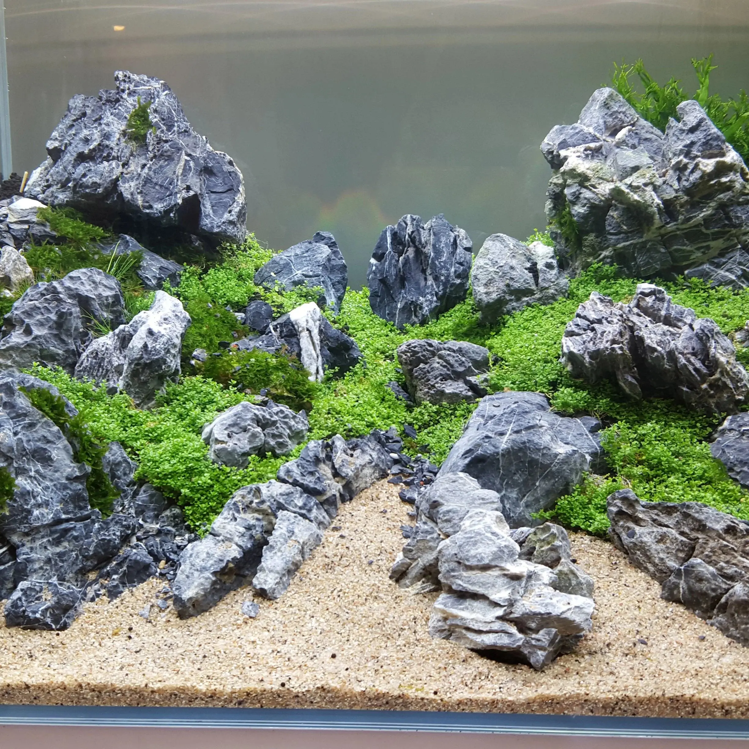 Seiryu Dragon Ohko Stone Aquascaping Kit - 25 Lbs Mix-Size Chisel Shape, Scale Texture Unique Style Decor, Water Safe Materials, 6"-9" Medium Fish Tank Decoration for Aquarium Enthusiasts, Customizable Structure