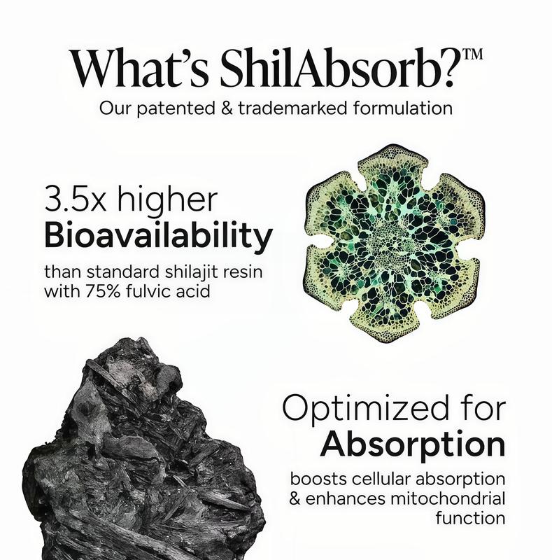 Root Labs Alpha 10-in-1 Shilaiit Gummies 4000 mg Holiday Gift QL-Ready Energy Stamina & Focus Zero Sugar KSM-66Ashwagandha,Tongkat Ali,Maca Vegan 60 Count