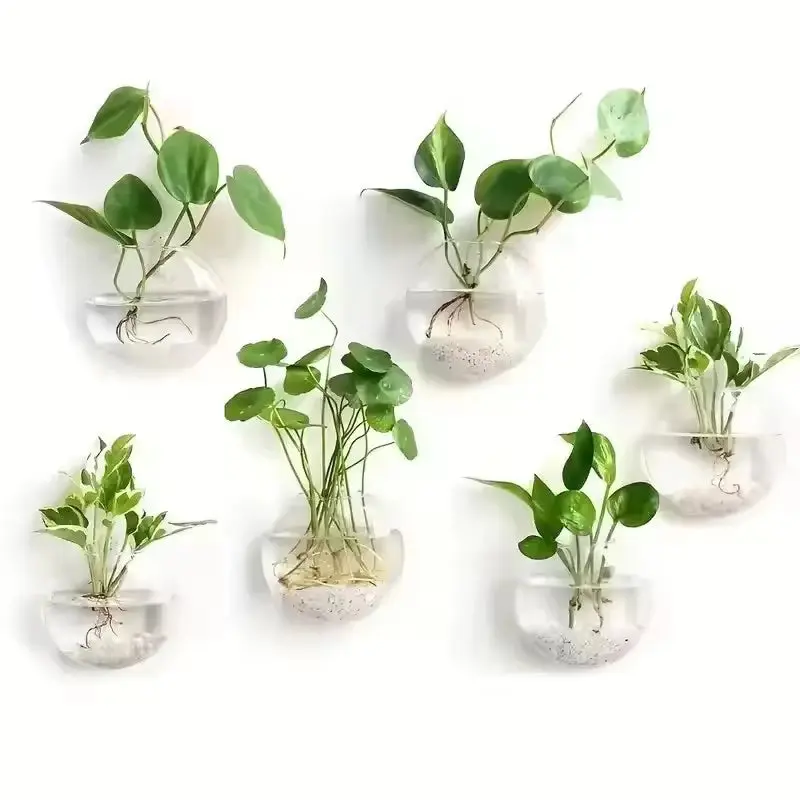 Wall Hanging Glass Terrarium Planter for Home Decor