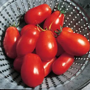 Roma Tomato: 30 Seeds