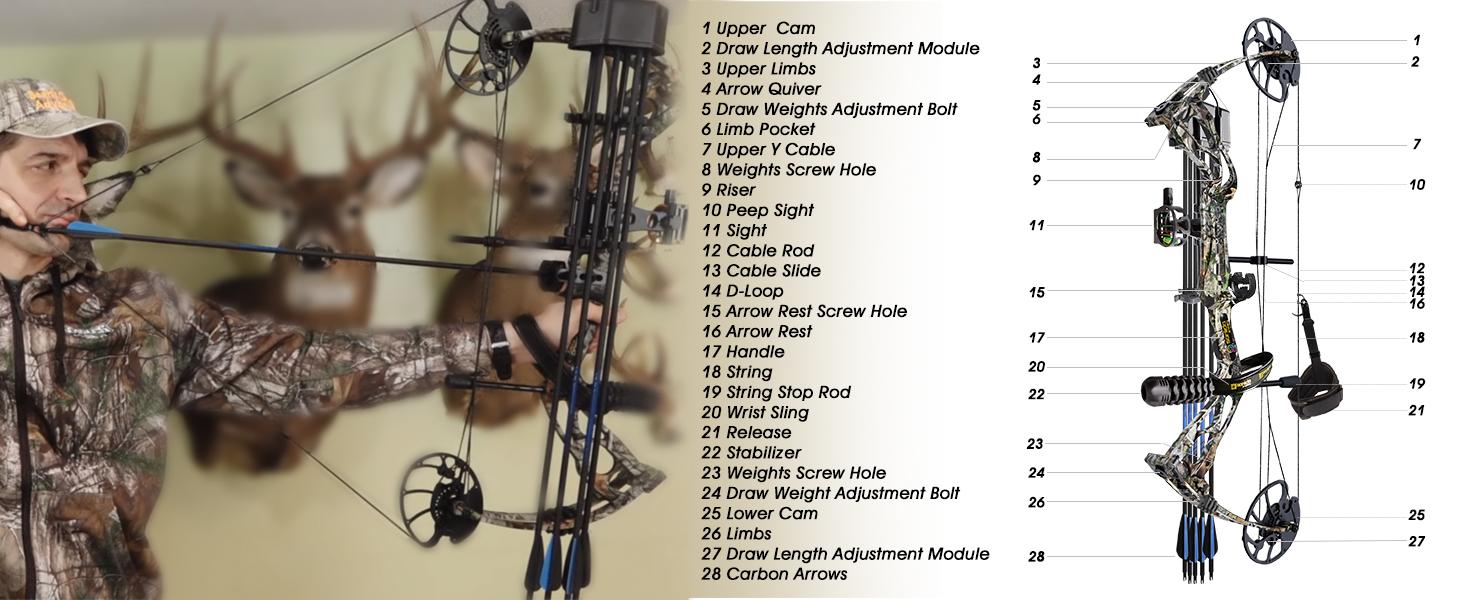 Sanlida Archery Dragon X8 RTH Compound Bow Package for Adults and Teens,18”-31” Draw Length,0-70 Lbs Draw Weight,up to IBO 310 fps,No Bow Press Needed,Limbs Made in USA,Limited Life-time Warranty (RH Only)