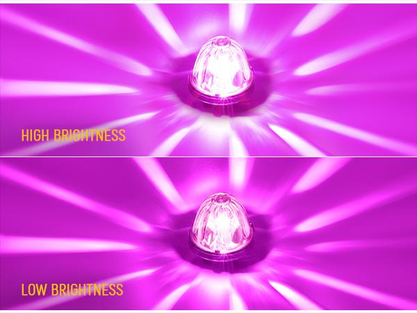 Partsam Glass Watermelon Lights Clear Lens Light 2Pcs