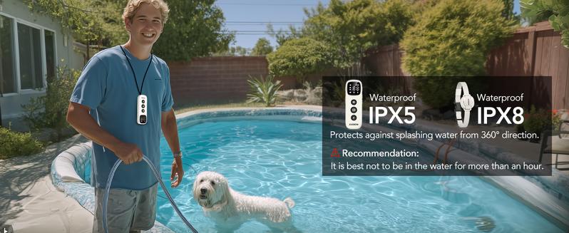 Jugbow Shock Collar for Small Dogs - 4200FT Dog Training Collar with Remote for 5-30lbs Mini Small Dogs, IPX8-Waterproof Rechargeable E-Collar with Beep (1-9), Vibration(1-3), Safe Shock(0-16) DT54