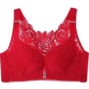 Floral Secrets: Comfort Rose Bra for Everyday Wear & Pushup - Red