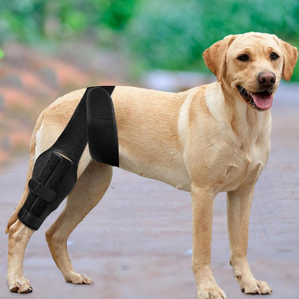 Dog Knee Protector Adjustable Black Dog Back Leg Brace Comfortable Knee Pad For Leg Injury Care Universal Leg Protector For