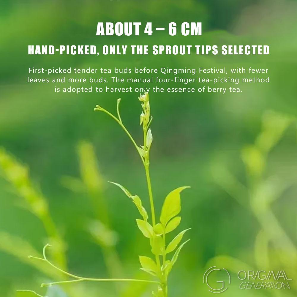 S Class Purple Haze Tea 250g(Caffeine Free) Authentic Berry Tea Ten Thousand Tea Leaves Can Only Make 500 Grams