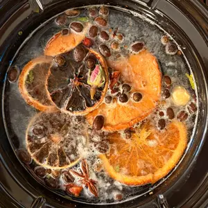 Witch’s Brew Simmer Pot Potion