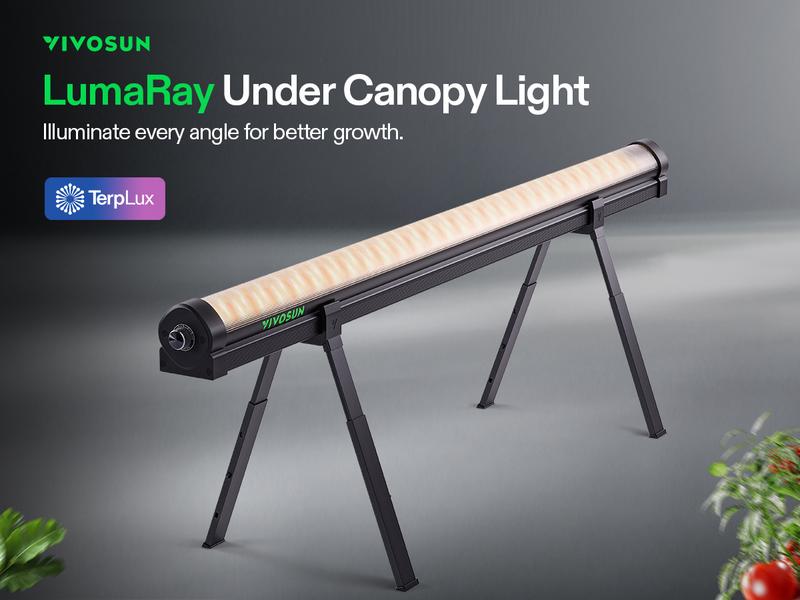 VIVOSUN LumaRay Under Canopy Grow Light, Full Spectrum Dimmable LED Grow Lights for Grow Tents, Greenhouses, SGS Compatible, 100W, 3.28 ft