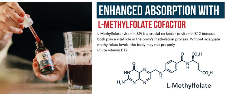 BioActive B12 1000 mcg - 3 Forms + Methylfolate | Sublingual, Cherry Flavor, Organic, Vegan (180 Servings) Healthcare Vitamin Fitness Edible BioActive B12 1000 mcg - 3 Forms + Methylfolate | Sublingual, Cherry Flavor, Organic, Vegan (180 Servings) Healthcare Vitamin Fitness Edible