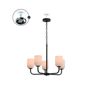 Plug & Play Parkmont 5-Light Chandelier in Transitional and Modern Style-84.14 Inches Tall and 24 Inches Wide