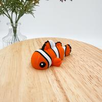 Clown Fish