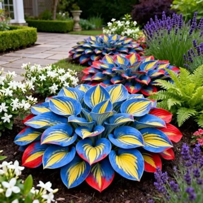 1000 Hosta Seeds – Practical Outdoor Perennials for Residential Garden Use