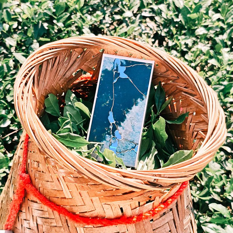 RELIC,Collection Edition Oolong Tea,Premium Shuixian Tea,Rich in Tea Polyphenols, Natural Antioxidant, Anti-inflammatory Tea, Promotes Digestion,Plant-based & Gluten Snacks,Vitamins, Minerals & Wellness Supplements Beverage,Cold-fighting Foods