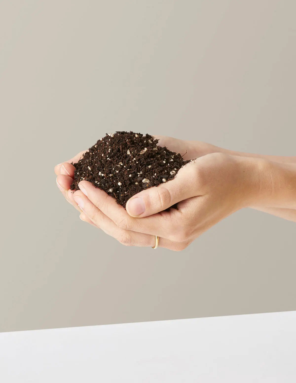 Premium Potting Mix Premium Potting Mix