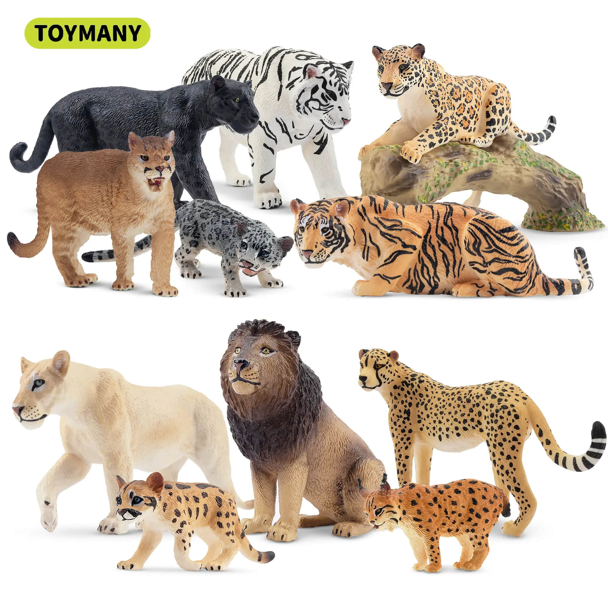 TOYMANY 12PCS Big Cat Animal Figurines Playset - Realistic Wildlife Action Figures, Mini Figurines Animals, Solid Plastic Educational Toys for Kids, Cake Toppers & Collector Display (Lion, Tiger, Leopard, Jaguar, Cheetah)