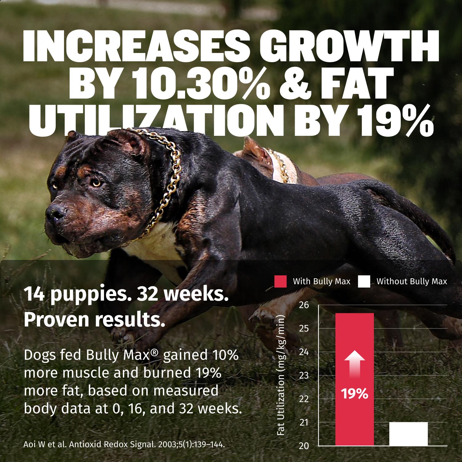 Bully Max 3-in-1 Liquid Dog Muscle Builder Supplement for Puppy and Adults Dogs - Dog Vitamins for Small & Large Breeds - Vet-Approved Dog Supplement