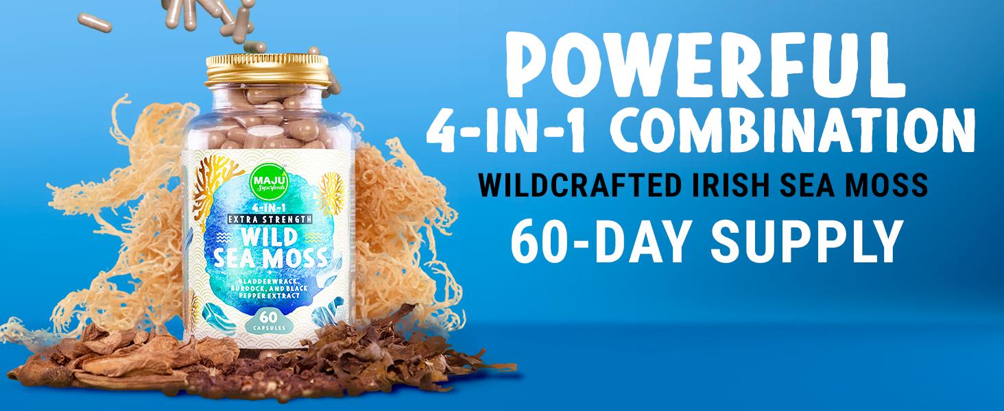 Limited Reserve Sea Moss Bundle - Golden Sea Moss (60ct) & Purple Chondrus Crispus Capsules (60ct), Edible Dietary Healthcare, Mineral Support
