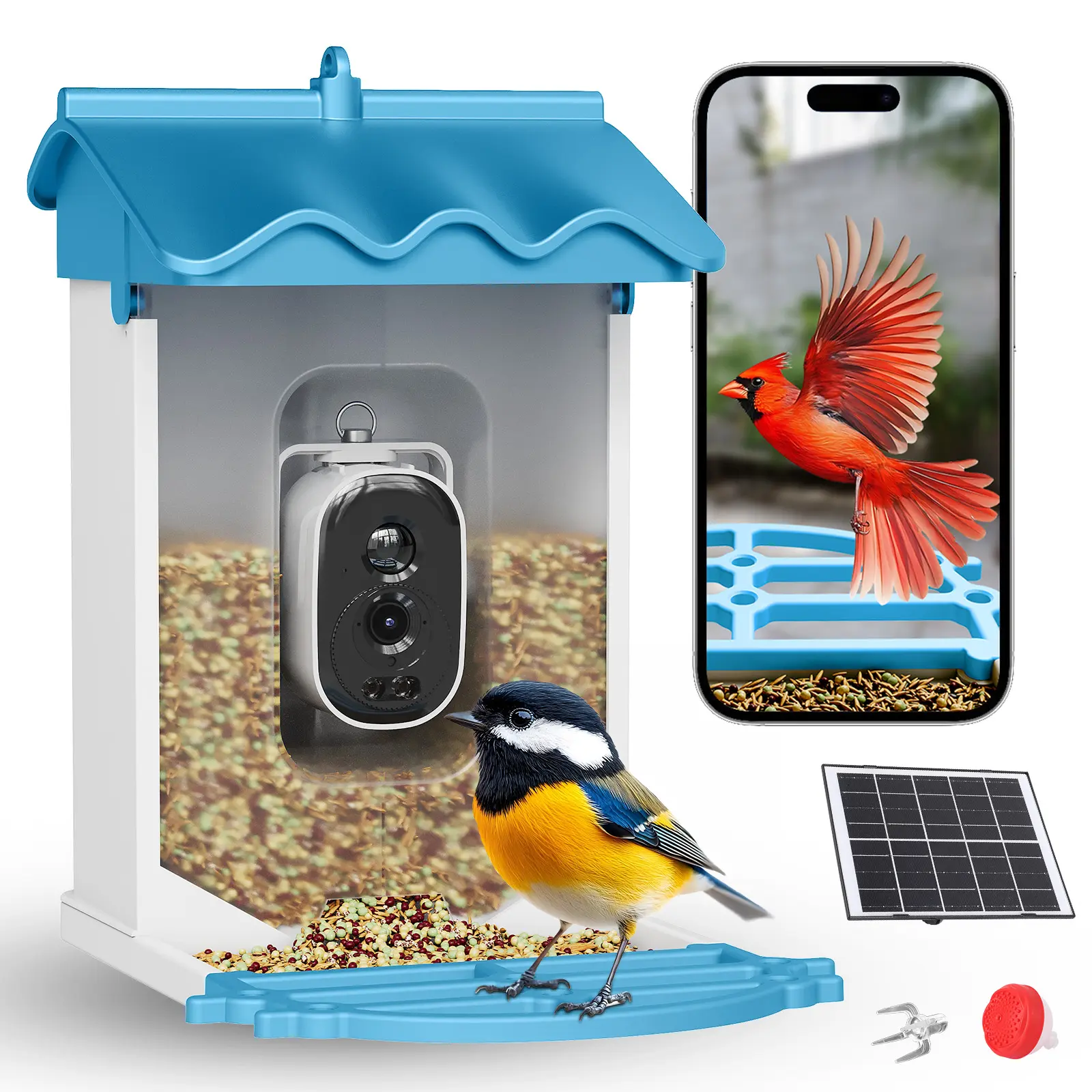 4K Camera Smart Bird Feeder - AI Bird Recognition Auto Photo & Video Capture - Squirrel Resistant - Ideal for Wild Bird Watching Solar Powered - 2L Large Capacity - Night Vision - App Alerts