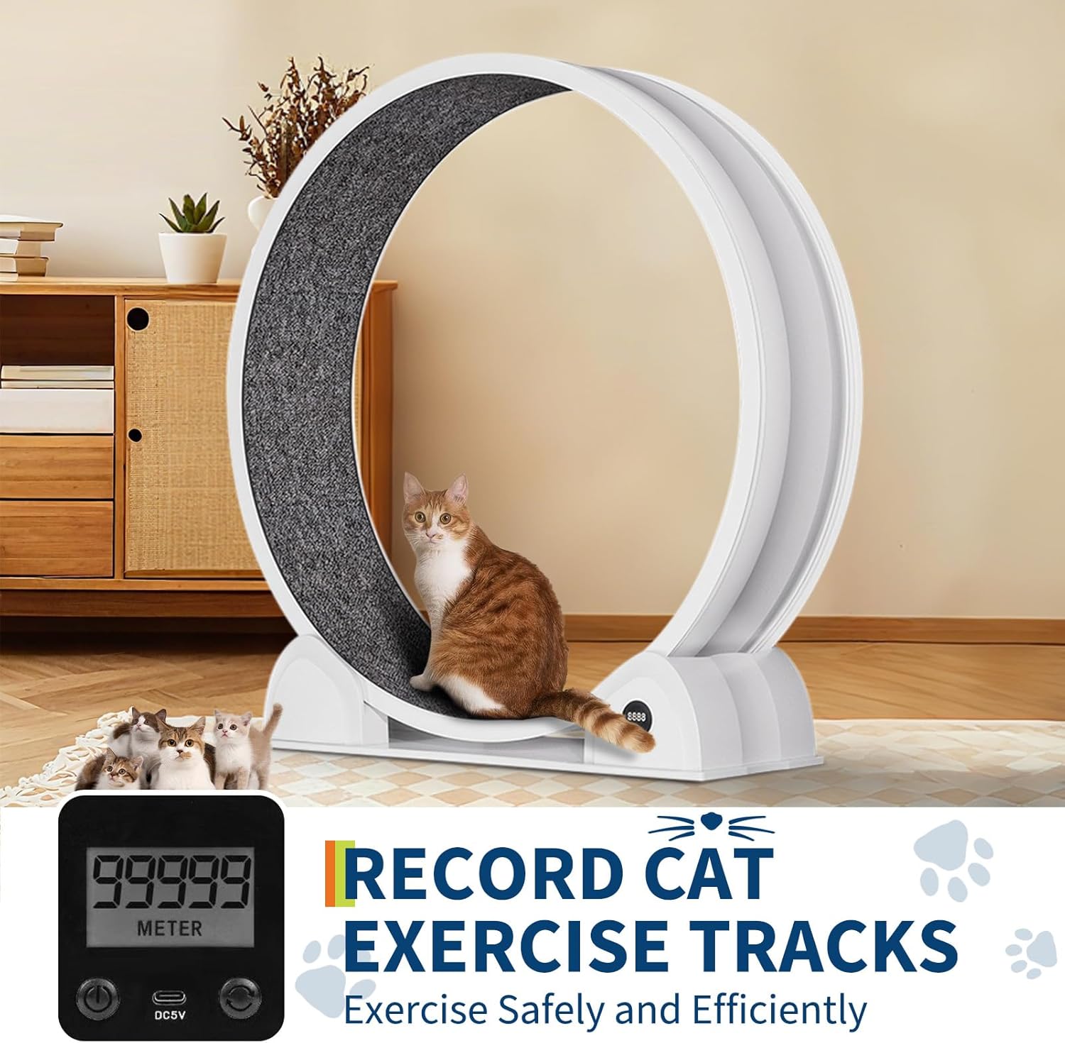 Cat Exercise Wheel for Indoor Cats - Large 114cm Super Quiet Running Wheel with Pedometer & Removable Mat | Treadmill for Fitness, Weight Loss, Training & Health | ABS Plastic Cat Trolley Design Cat Exercise Wheel for Indoor Cats - Large 114cm Super Quiet Running Wheel with Pedometer & Removable Mat | Treadmill for Fitness, Weight Loss, Training & Health | ABS Plastic Cat Trolley Design