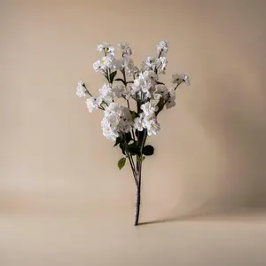 White Peach Blossom Bush