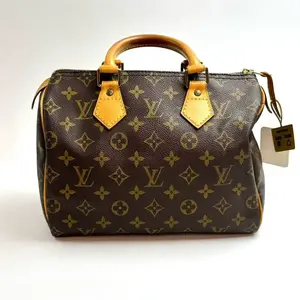 Pre-owned Louis Vuitton As Shown Tote Bags 0057 SH Speedy Hand Bag 26.02.28