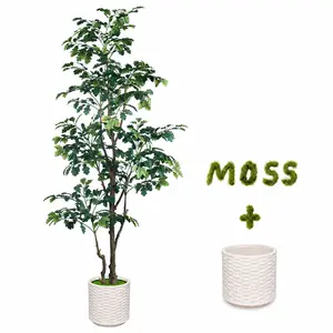 6ft/7ft Artificial Oak Tree, Faux Potted Oak Tree with Adjustable Wired Branches, Real Artificial Plant with Contemporary White Decorative Planter for Home Office Floor Decor