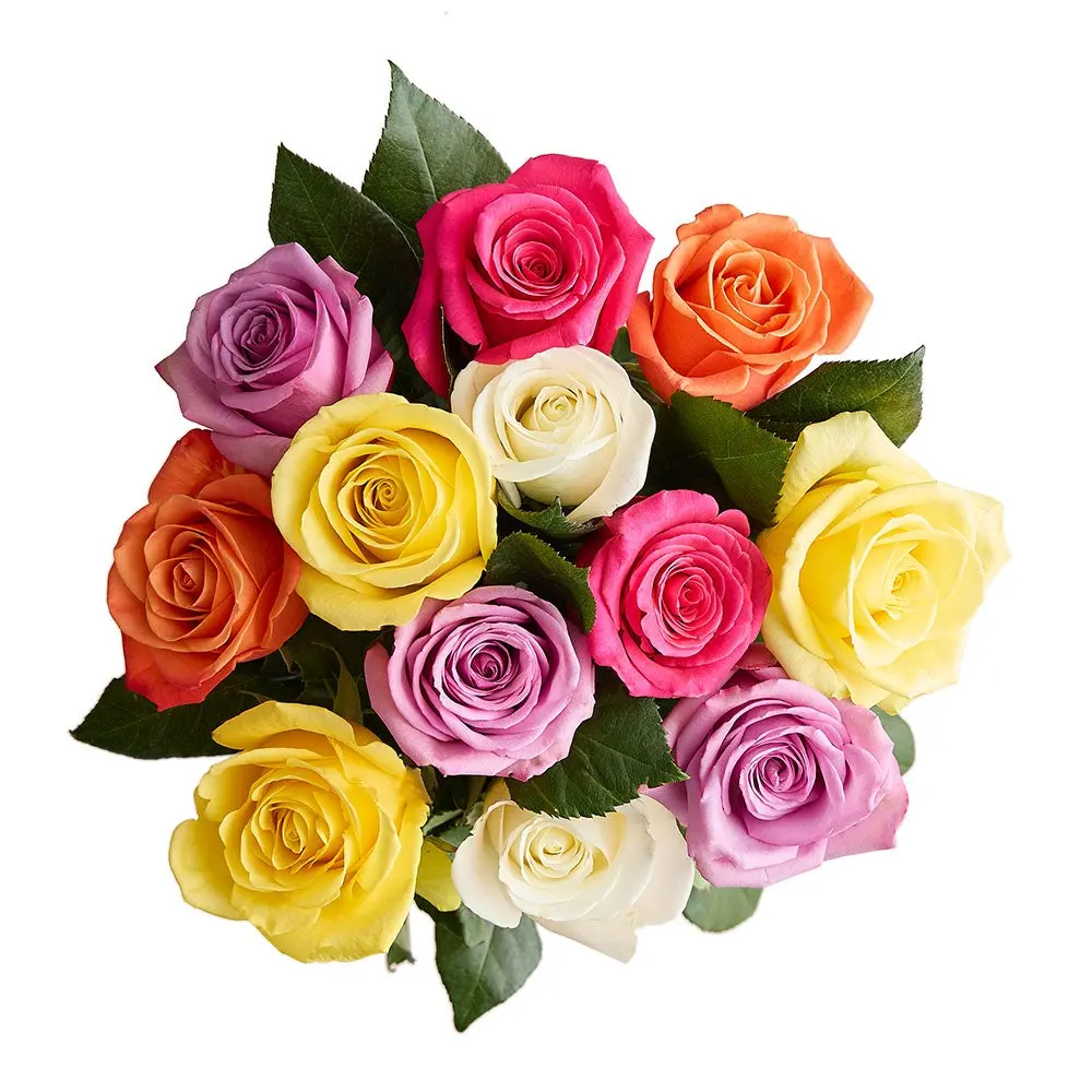 1800 Flowers - 12 Stem Assorted Roses Bouquet Only, Fresh Flowers