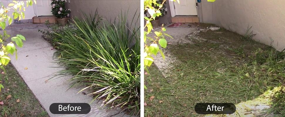 PowerSmart 21 in. Gas Lawn Mower, 144cc 2-in-1 Mulching Push Mower with 6-Positions Height Adjustment, High Rear Wheels ,Garden ,Springtok(V8721C)