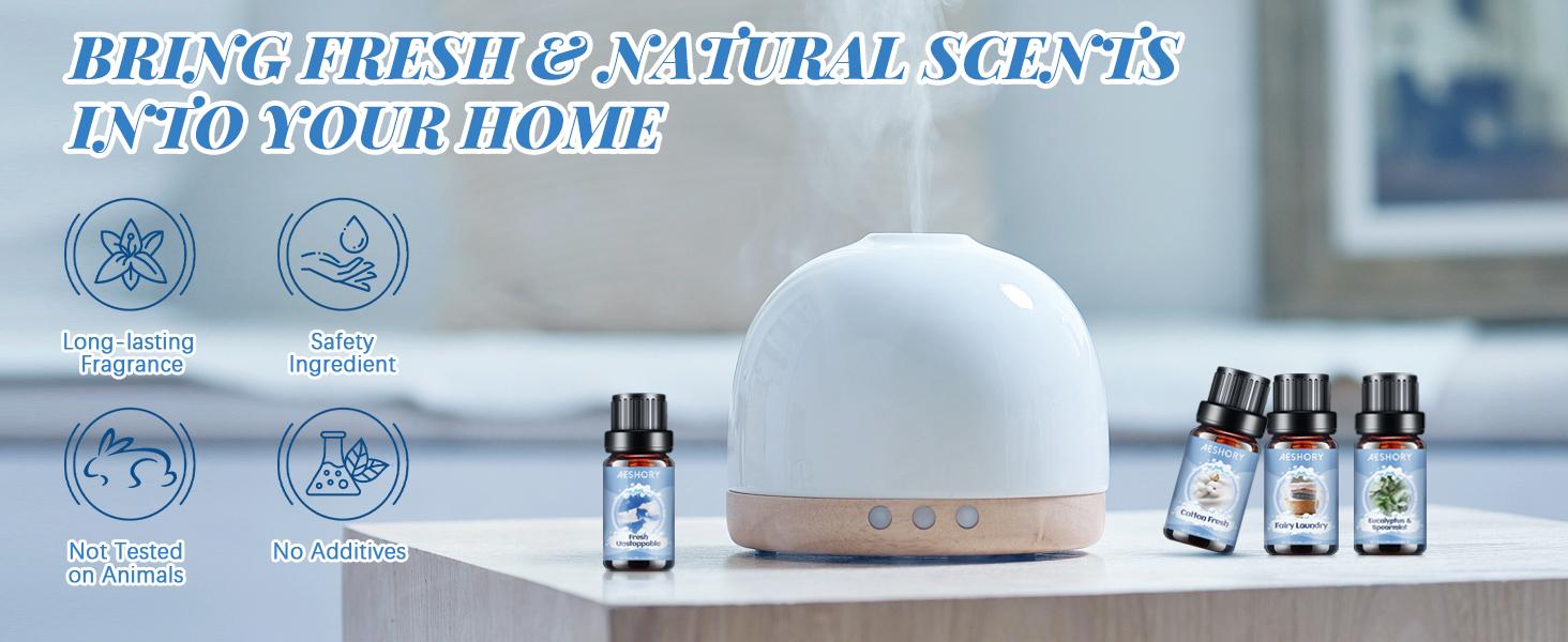 Clean Essential Oils Set 6x10ml Fresh Home Scents for Diffusers & Candle Making, Premium Aromatherapy Oils for Cozy & Relaxing Spaces