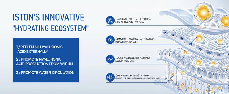 ISTON Ultra-Moisturizing Hyaluronic Acid Serum with Niacinamide Facial Plumping, Anti-Aging - 1.69 Fl Oz/50Ml