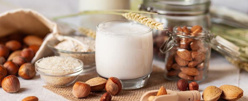 32oz Automatic Soy Machine for Homemade Almond, Oat, Coconut, Soy, Plant Based Milks, Delay Start/Keep Warm/Self-Cleaning