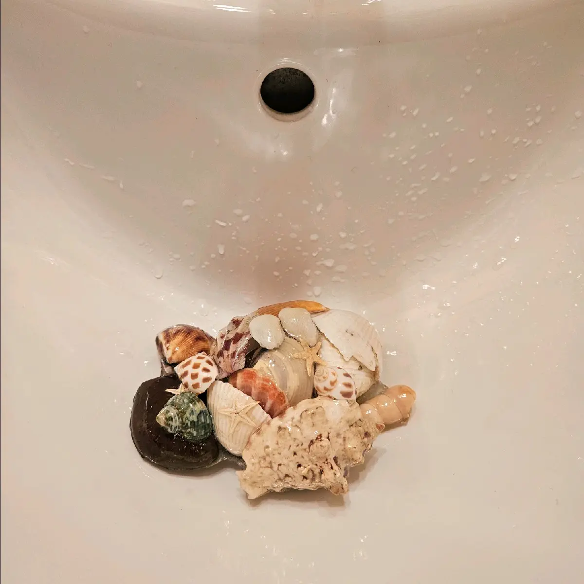 Sea Shell Sink Decor 2