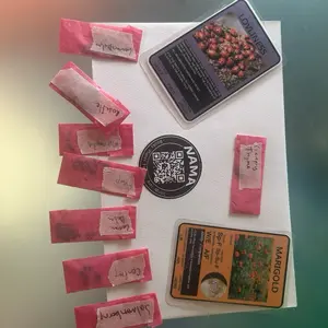 Planted Alchemist Medicinal Herbs Seed Collection Starter Pack