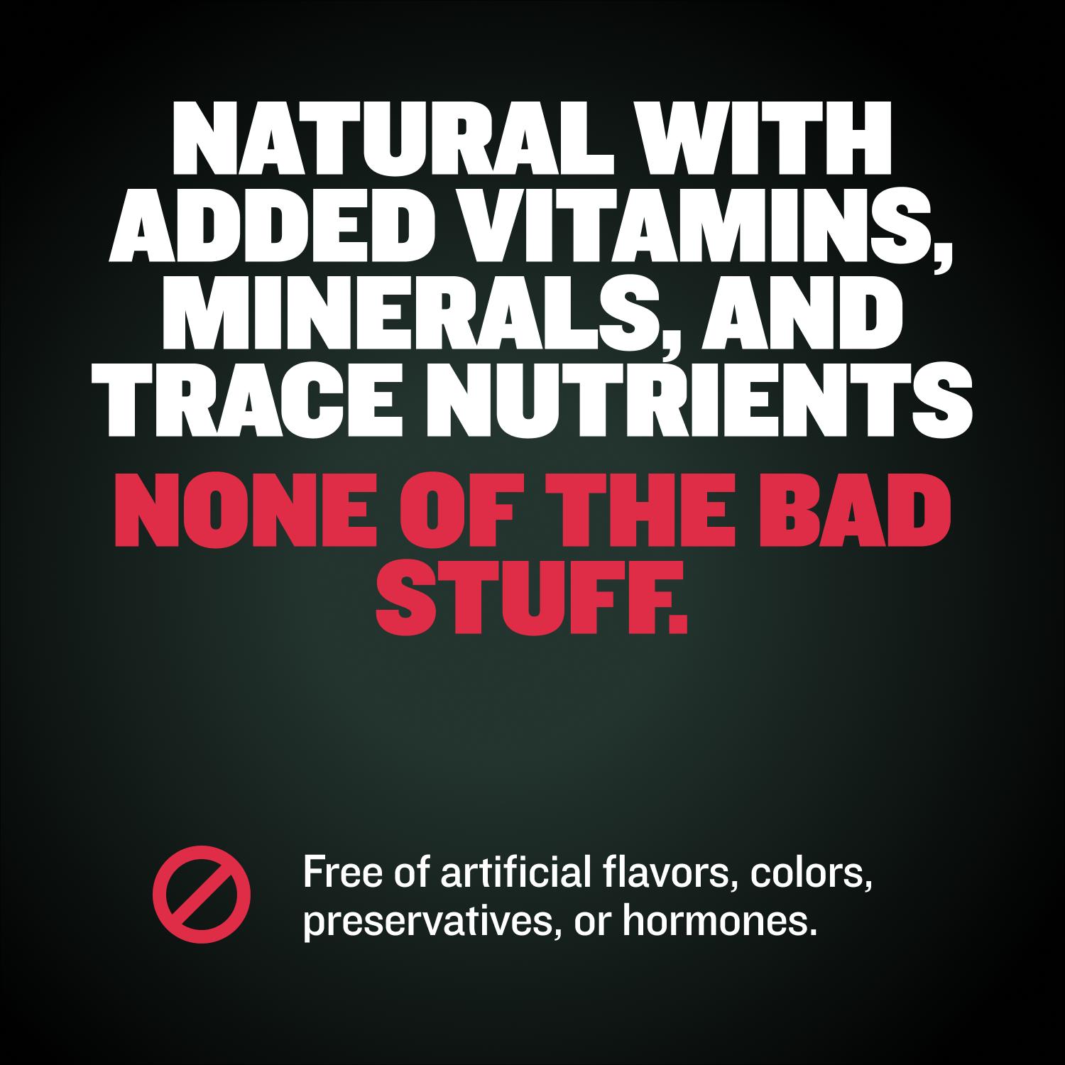 Bully Max Weight Gainer Liquid for Puppies & Adult Dogs | 2-in-1 High Calorie Multivitamin Dog Supplement - 16 oz Bag