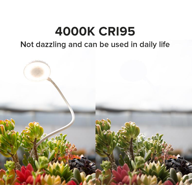 SANSI Upgrade  Pot Grow Lights for Small Plants and Glass Ring Vases Plantswith 4-Level Dimmable， 5W/10W Full Spectrum  Multipurpose light with Auto On Off 3 6 12 Hrs Timer for Succulents，Thanksgiving, Christmas, New YearModern Gift