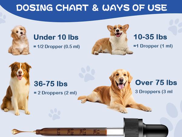 Natural Dog Health Herbal Supplement Drops – Supports Comfort for Yeast-Related Itchy Skin, Ear Discomfort & Paw Itching, Soothes Irritation Linked to Sensitivity