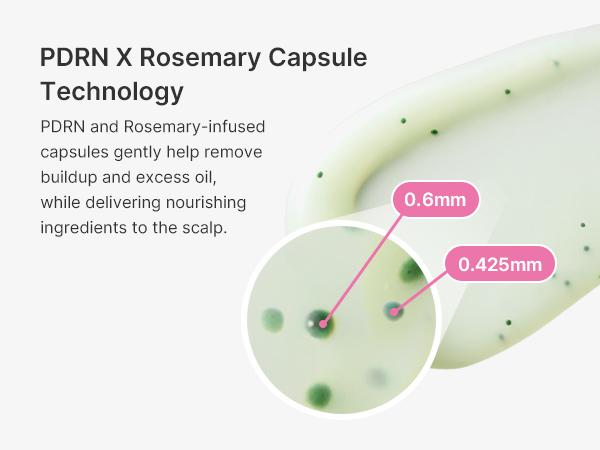[NEW] [medicube] Rosemary PDRN Scalp-to-Hair Strengthening Set | Includes Shampoo, Conditioner, Scalp Serum | Hair Thinning Care Set for Dry & Oily, Damaged, Frizzy Hair, Oily Flaky-looking Scalp | Korea Hair Care