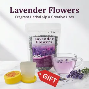 Lavender Flower Herbal Tea Individually Wrapped Tea Bags for Daily Brewing Organic