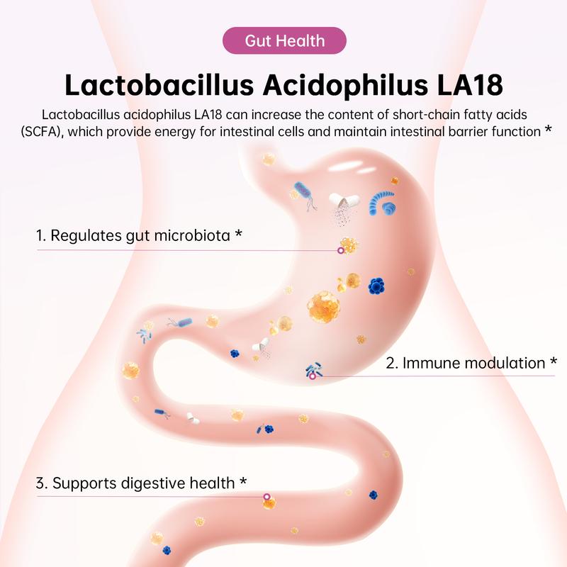 DrBioCare Women’s Probiotic + Herbal Balance Complex – 7 Strains Probiotics (20 Billion CFU) – Gut Health, Energy & Digestive Support – With Ashwagandha, Cranberry & Mulberry Leaf – Non-GMO, Gluten-Free, Soy-Free, Dairy-Free