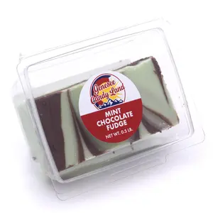 Mint Chocolate Fudge